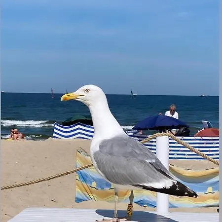 Apartament Luxury Gold 300m From The Sopot